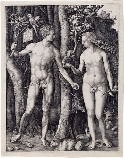 Durer